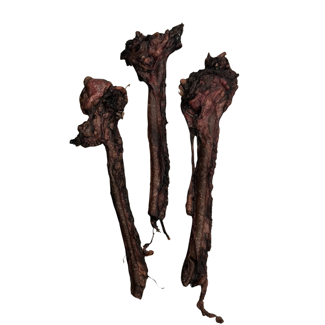 DENTALSTICK - VENA CAVA DI CINGHIALE