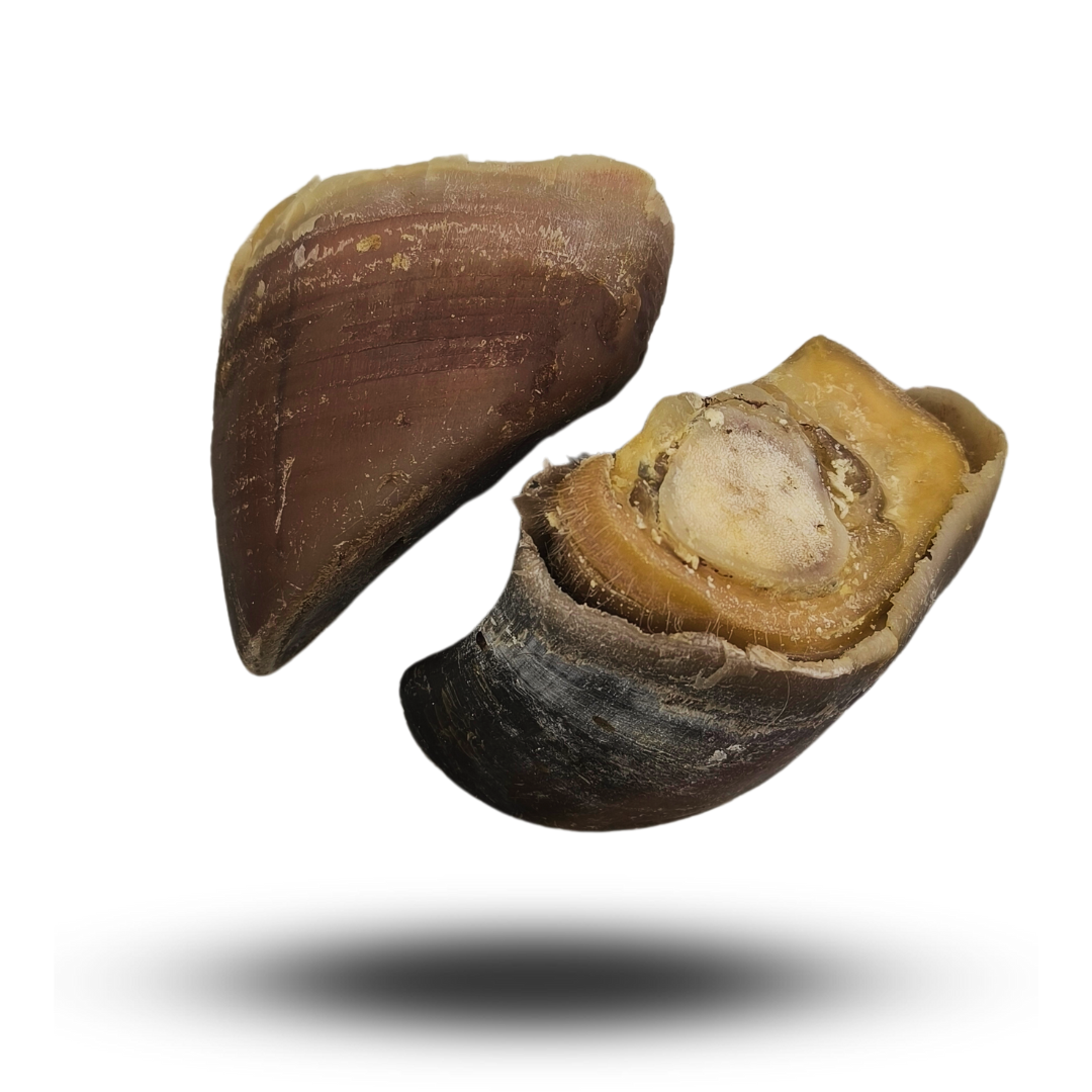 ZOCCOLO DI BOVINO SARDO - PIENO