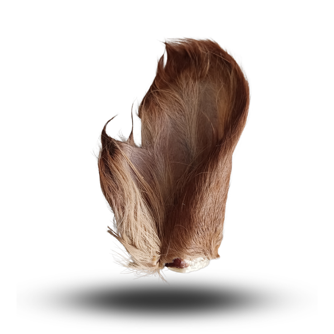 ORECCHIO BOVINO CON PELO