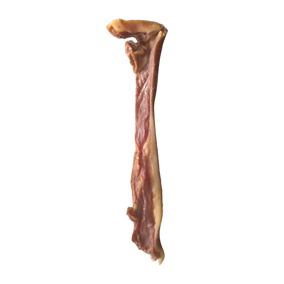 COTENNA POLPOSA DI MAIALETTO SARDO