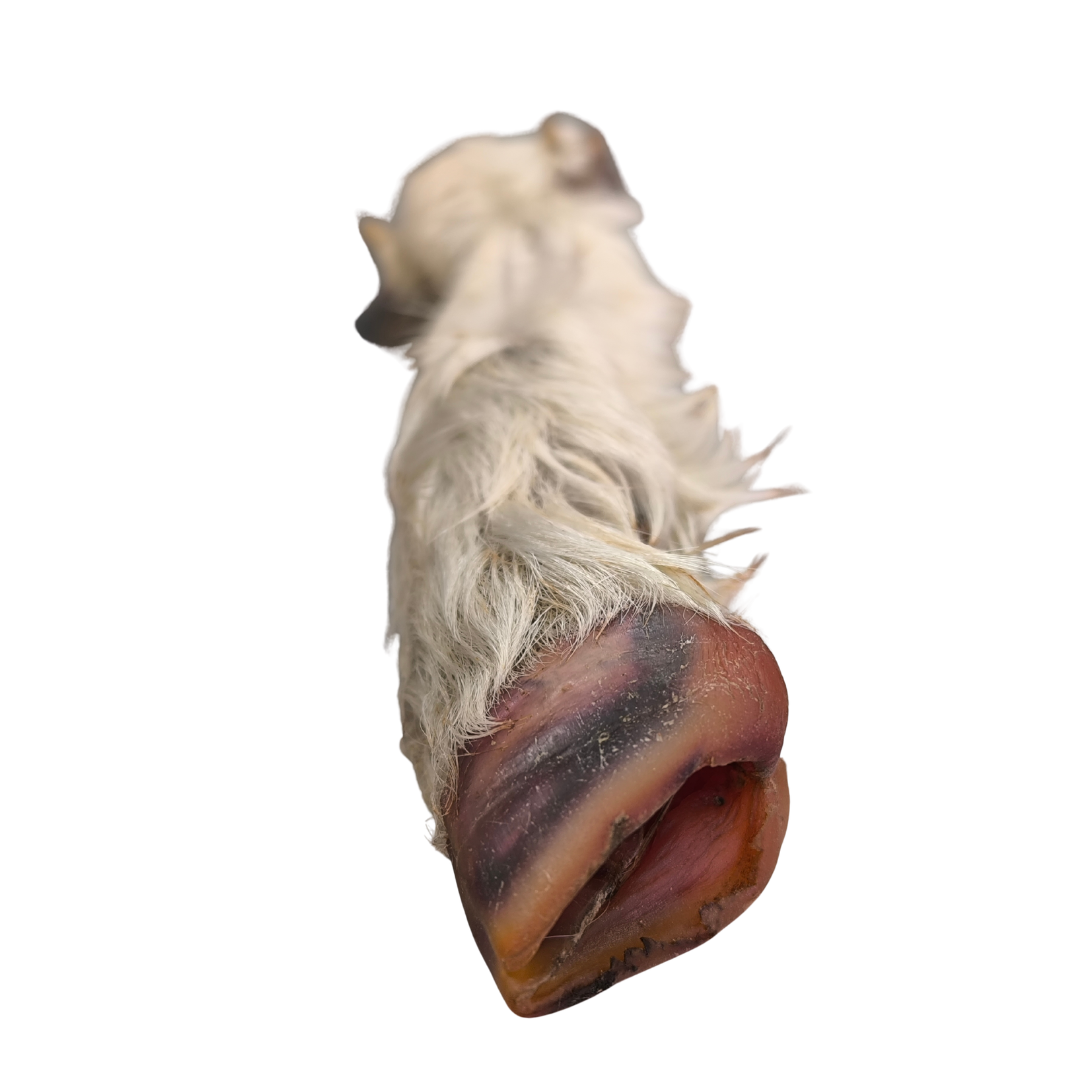 ZAMPA DI AGNELLO con Pelo