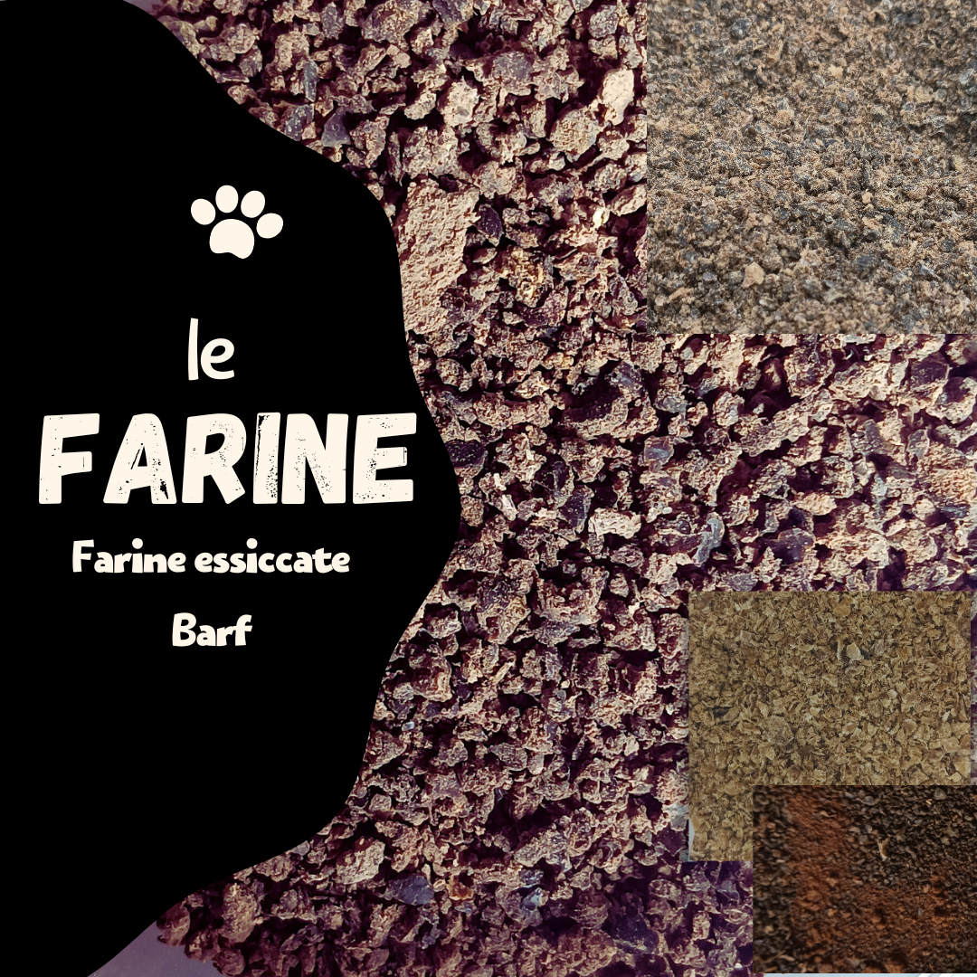 FARINE BARF