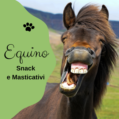 EQUINO