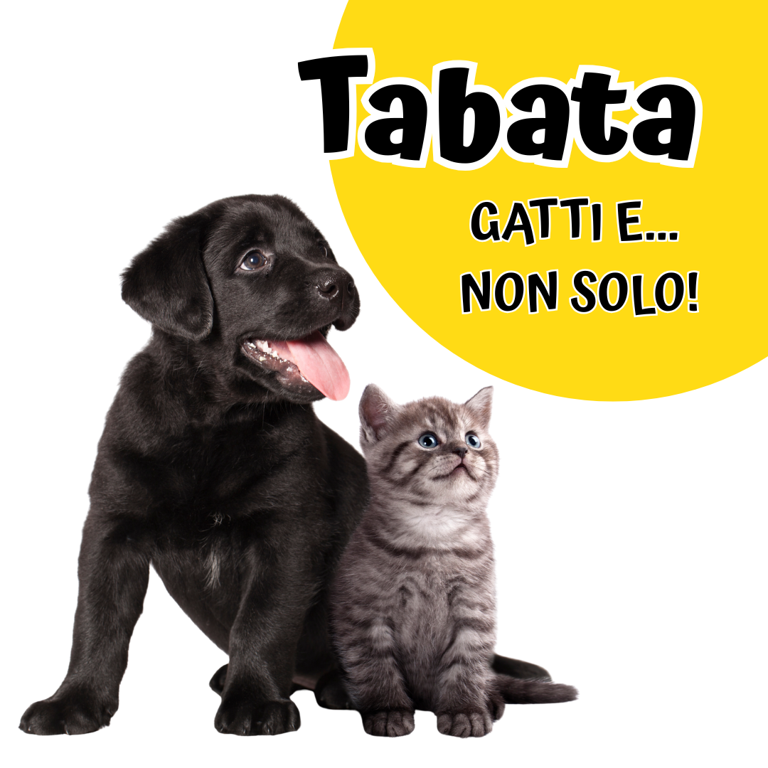 TABATA - GATTI E NON SOLO!