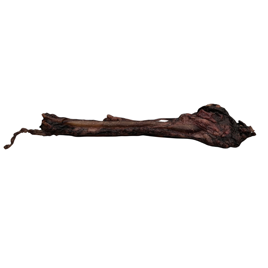 DENTALSTICK - VENA CAVA DI CINGHIALE