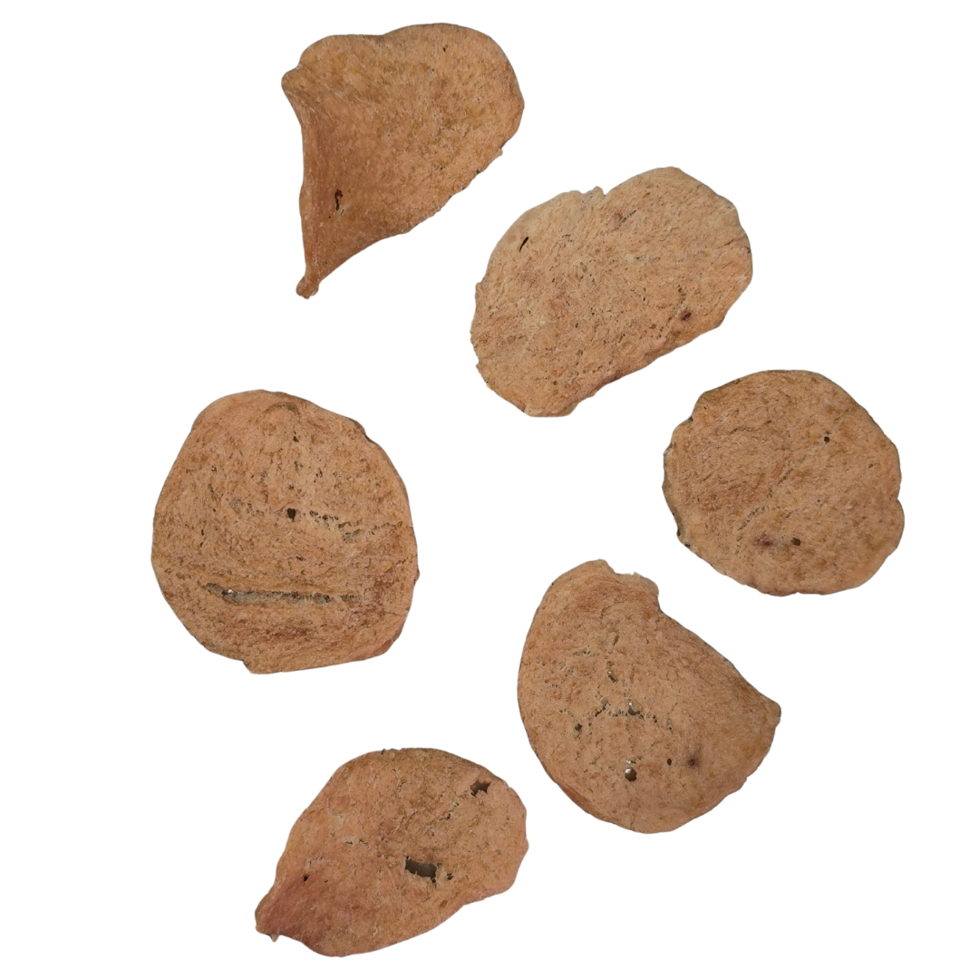 BAUCHIPS al Tacchino