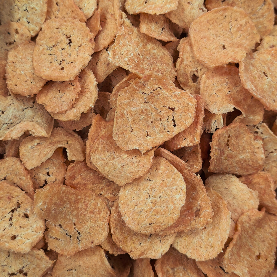 BAUCHIPS al Tacchino