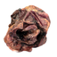EPIGLOTTIDE BOVINA