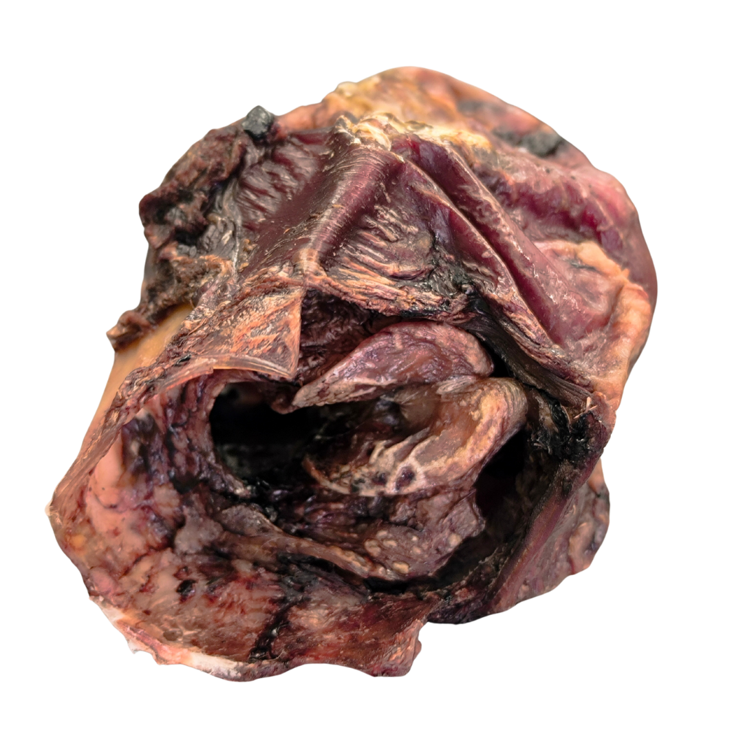 EPIGLOTTIDE BOVINA