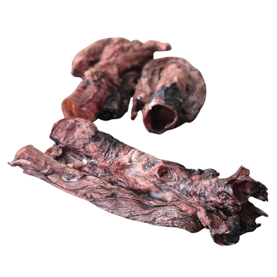 DUO SUINO - TRACHEA + ESOFAGO