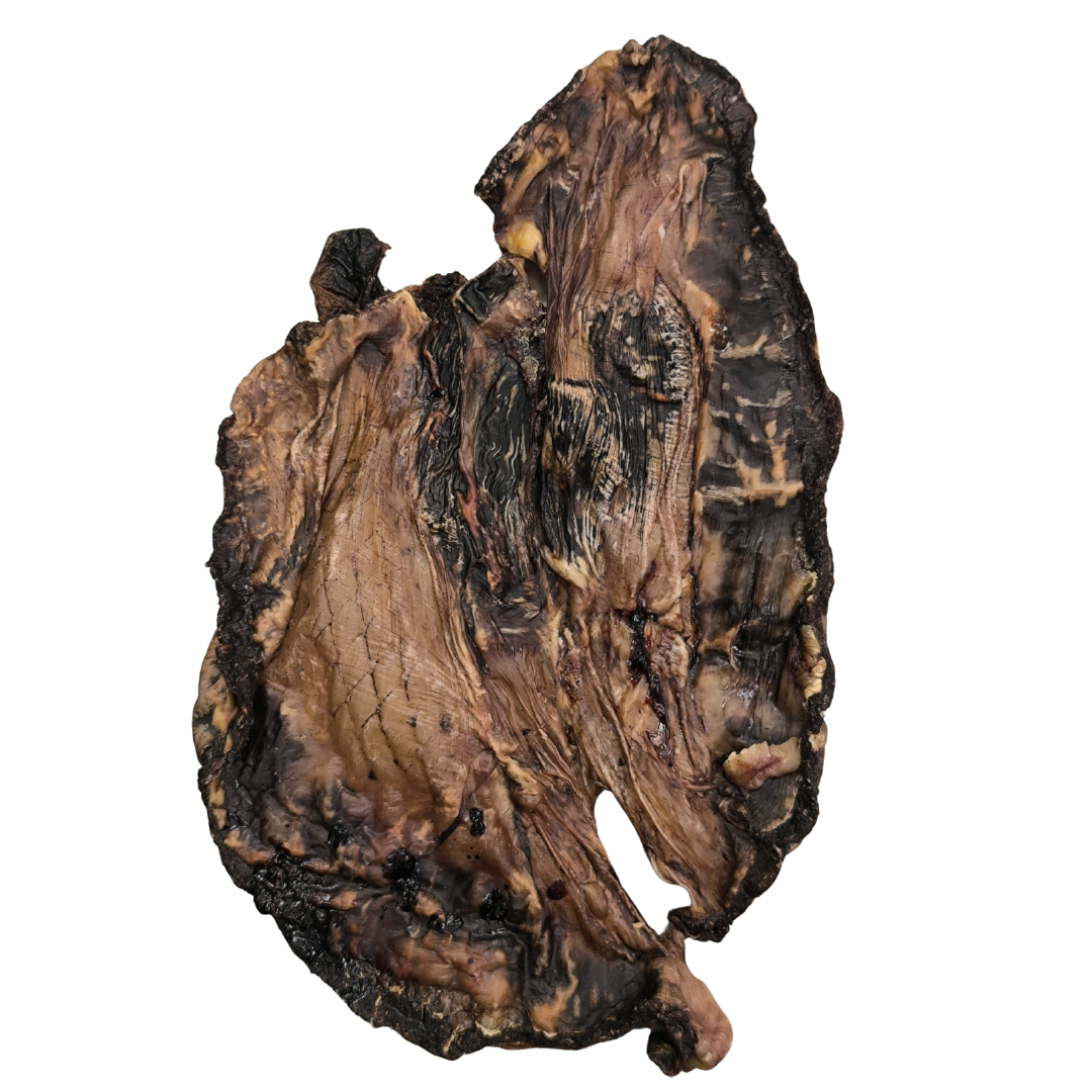 PARASANGUE DI CINGHIALE