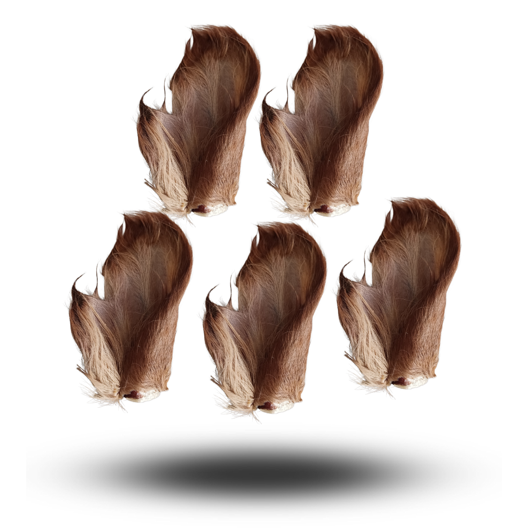 ORECCHIO BOVINO CON PELO