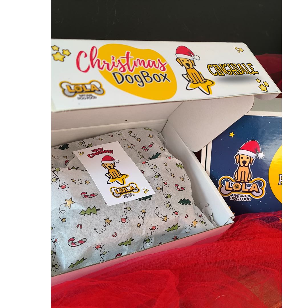 CHRISTMAS DOGBOX