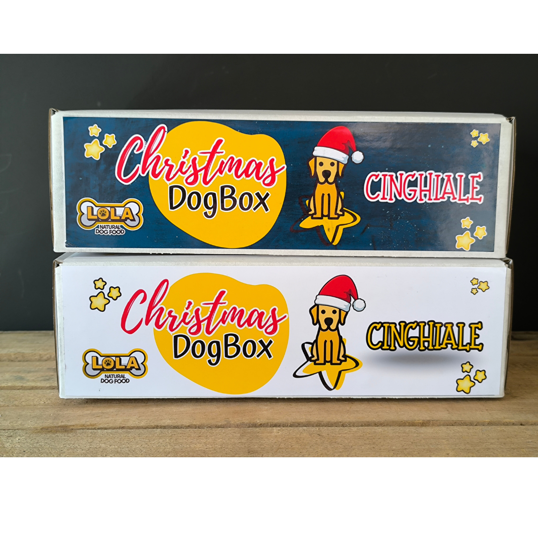 CHRISTMAS DOGBOX