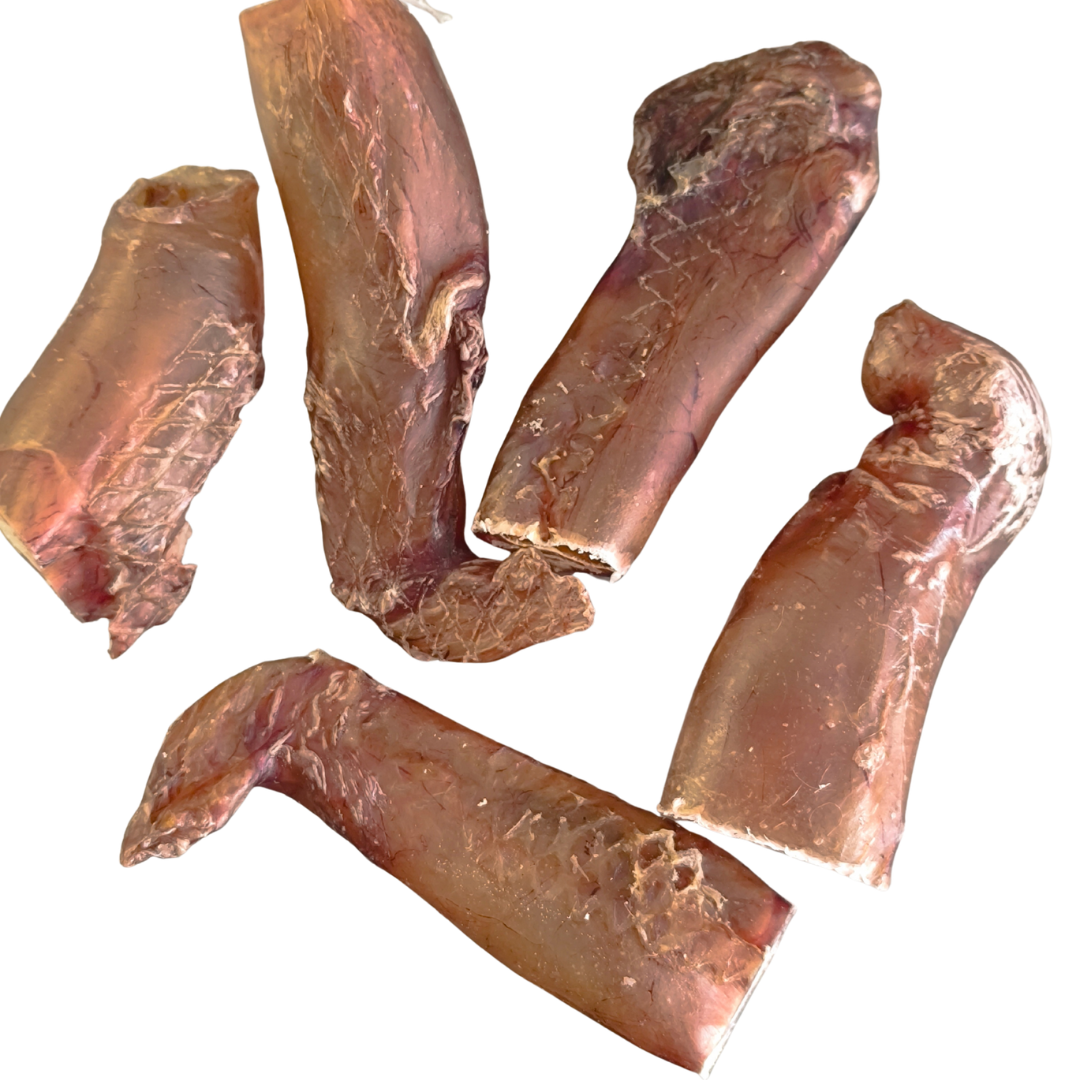ESTREMITA' - Verga di Toro