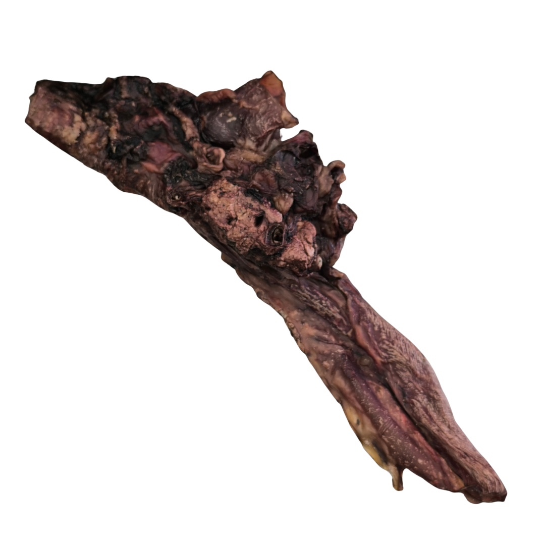 il MASTICOTTO - Vena Cava ed Esofago Suino