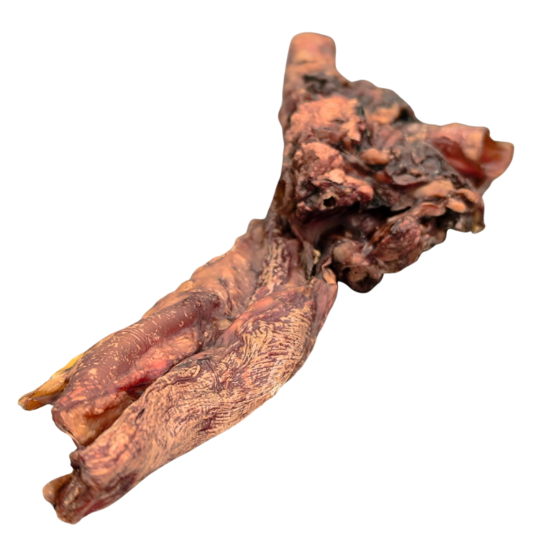 il MASTICOTTO - Vena Cava ed Esofago Suino