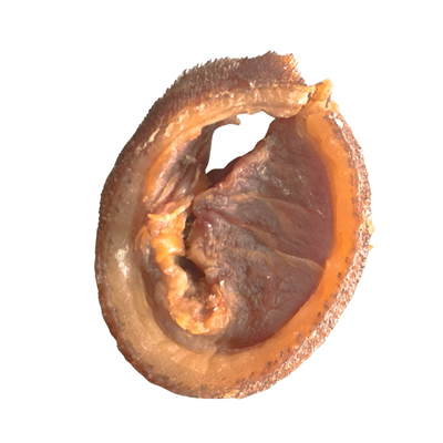 BOCCONCINI  DI MAIALETTO SARDO