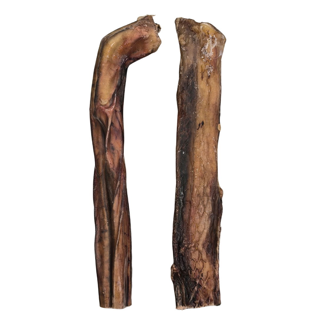 VERGA DI TORO (Nerbo di Bue)