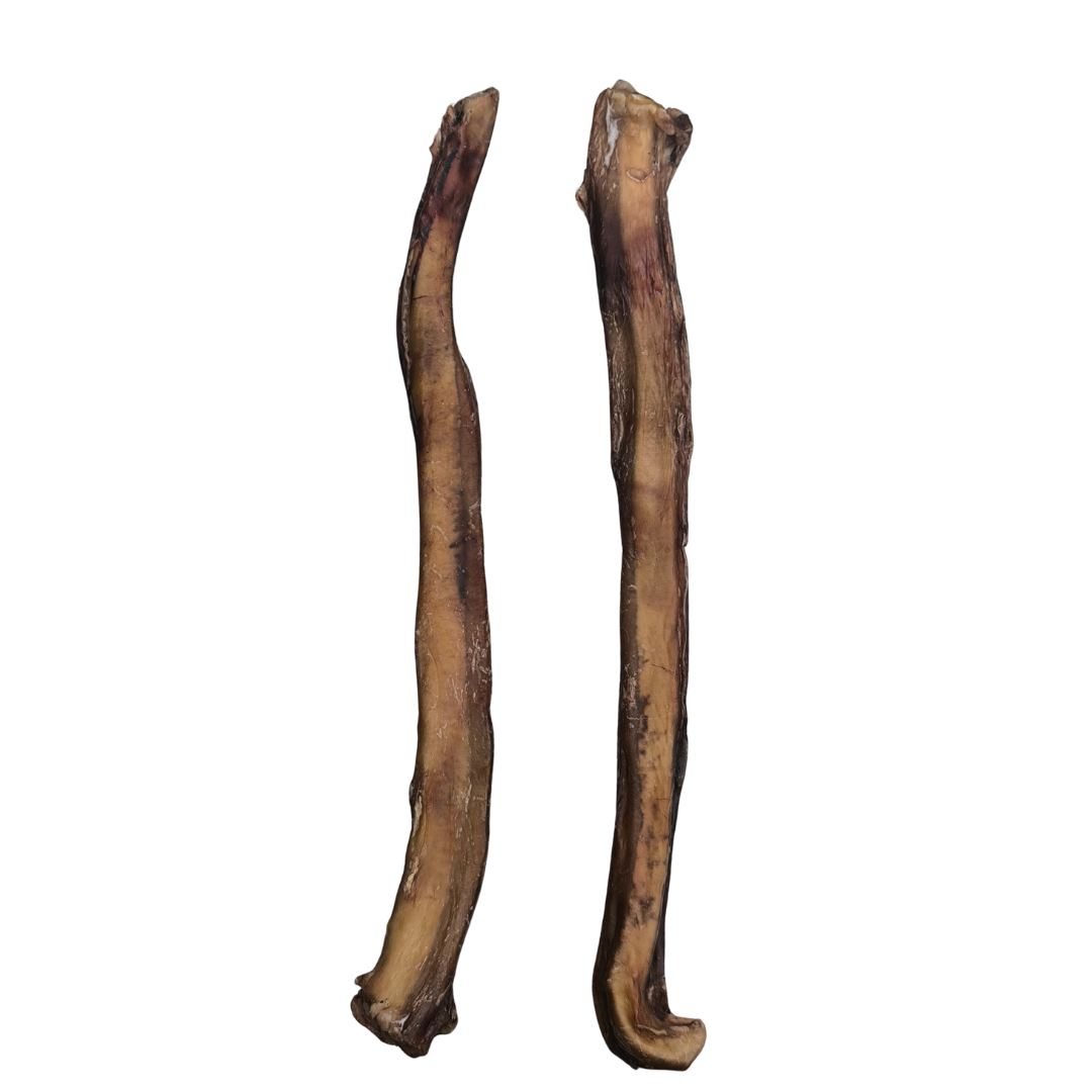 VERGA DI TORO (Nerbo di Bue)