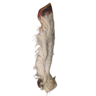 ZAMPA DI AGNELLO con Pelo